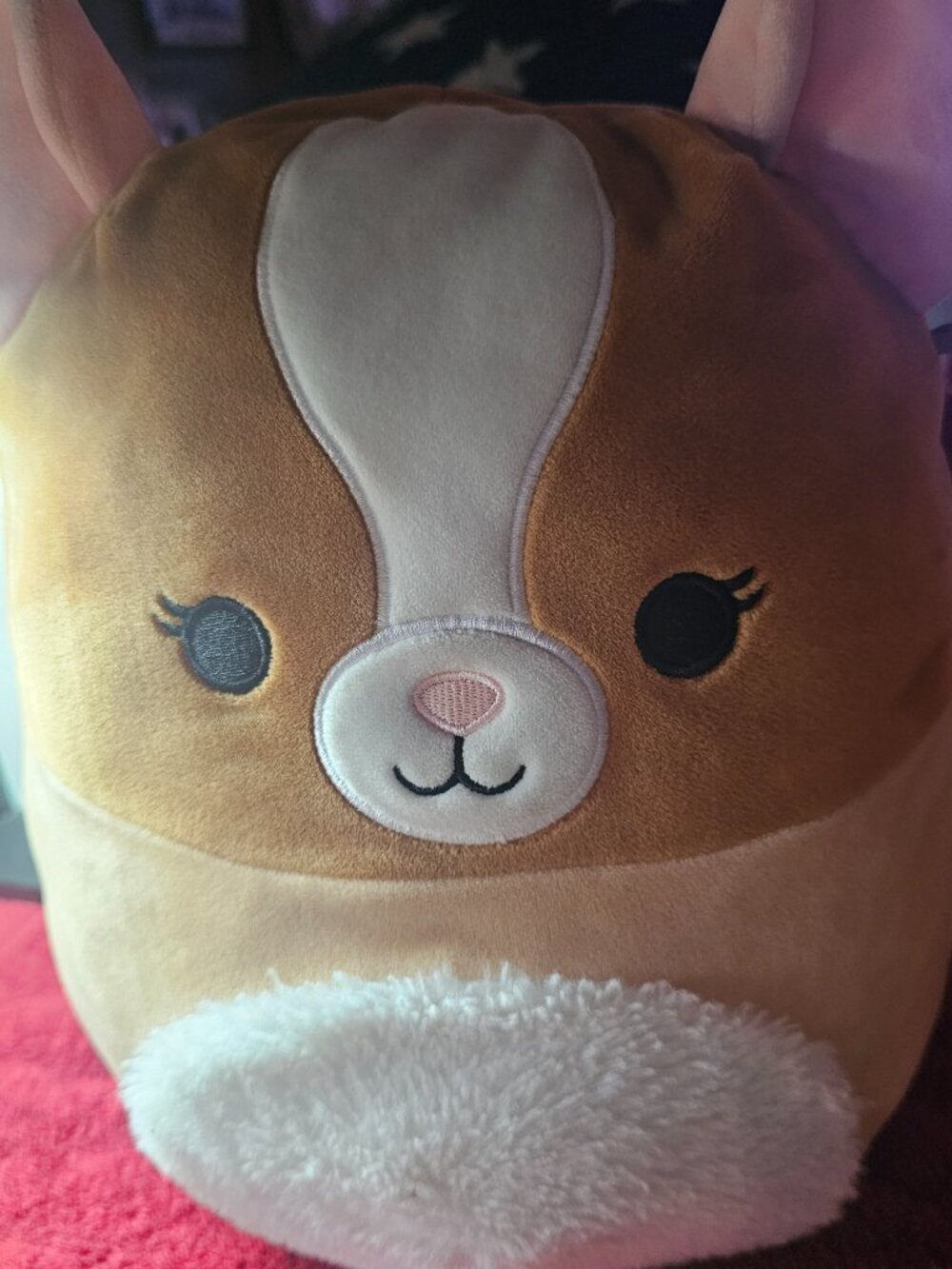 Squishmallow - Garret Guinea Pig - Preowned